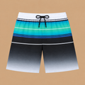 SILKWORLD Men's Swim Trunks with Compression Liner 9 Inch Suit 2 in 1 with Pockets